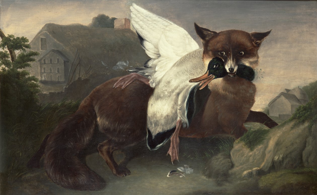 Fuchs und Gans, um 1835 von John James Audubon