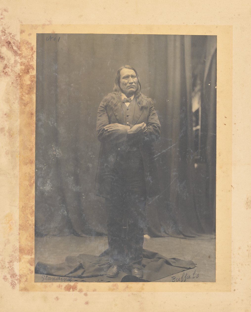 Stehender Büffel von John K. Hillers