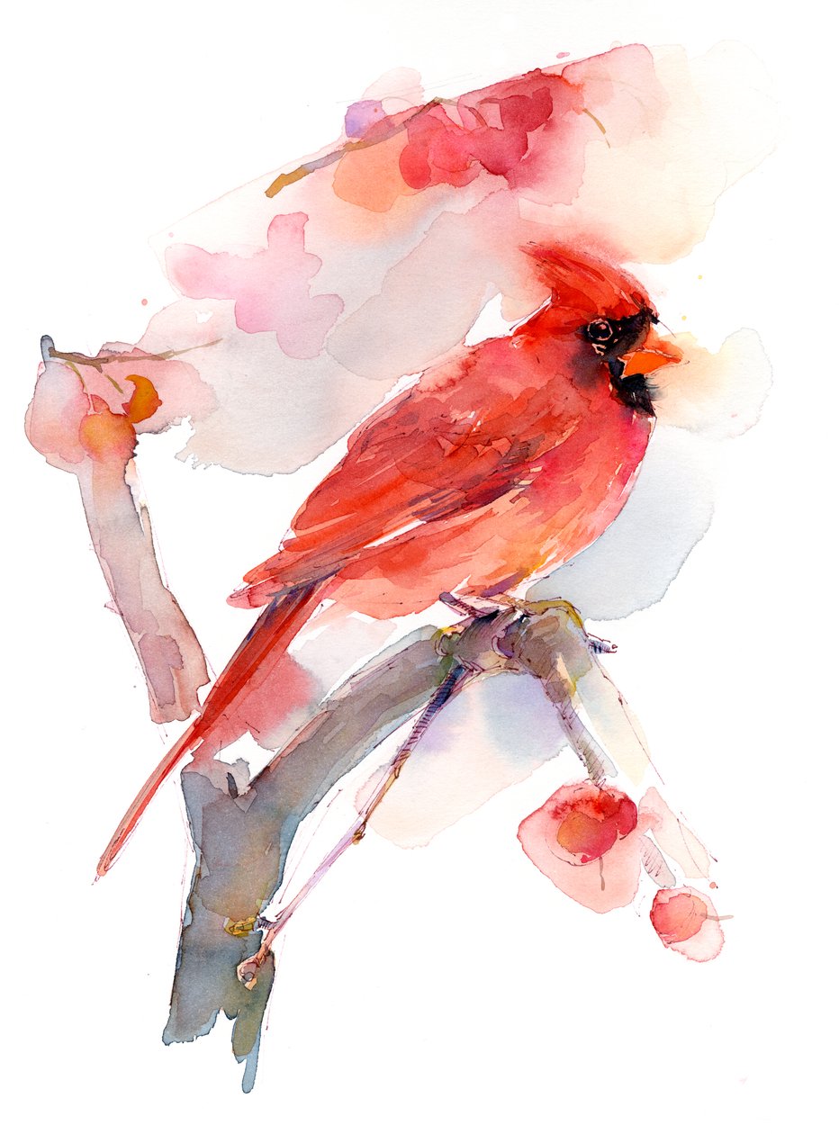 Roter Kardinal von John Keeling