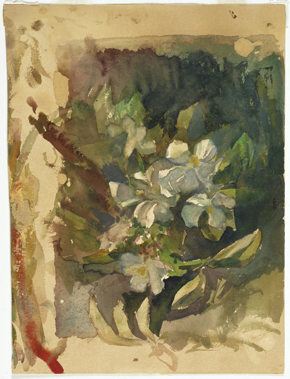 Apfelblüten im Sonnenlicht von John La Farge or Lafarge