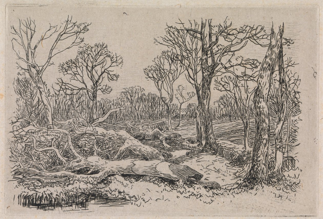 Gefälltes Holz, Burningham von John Middleton