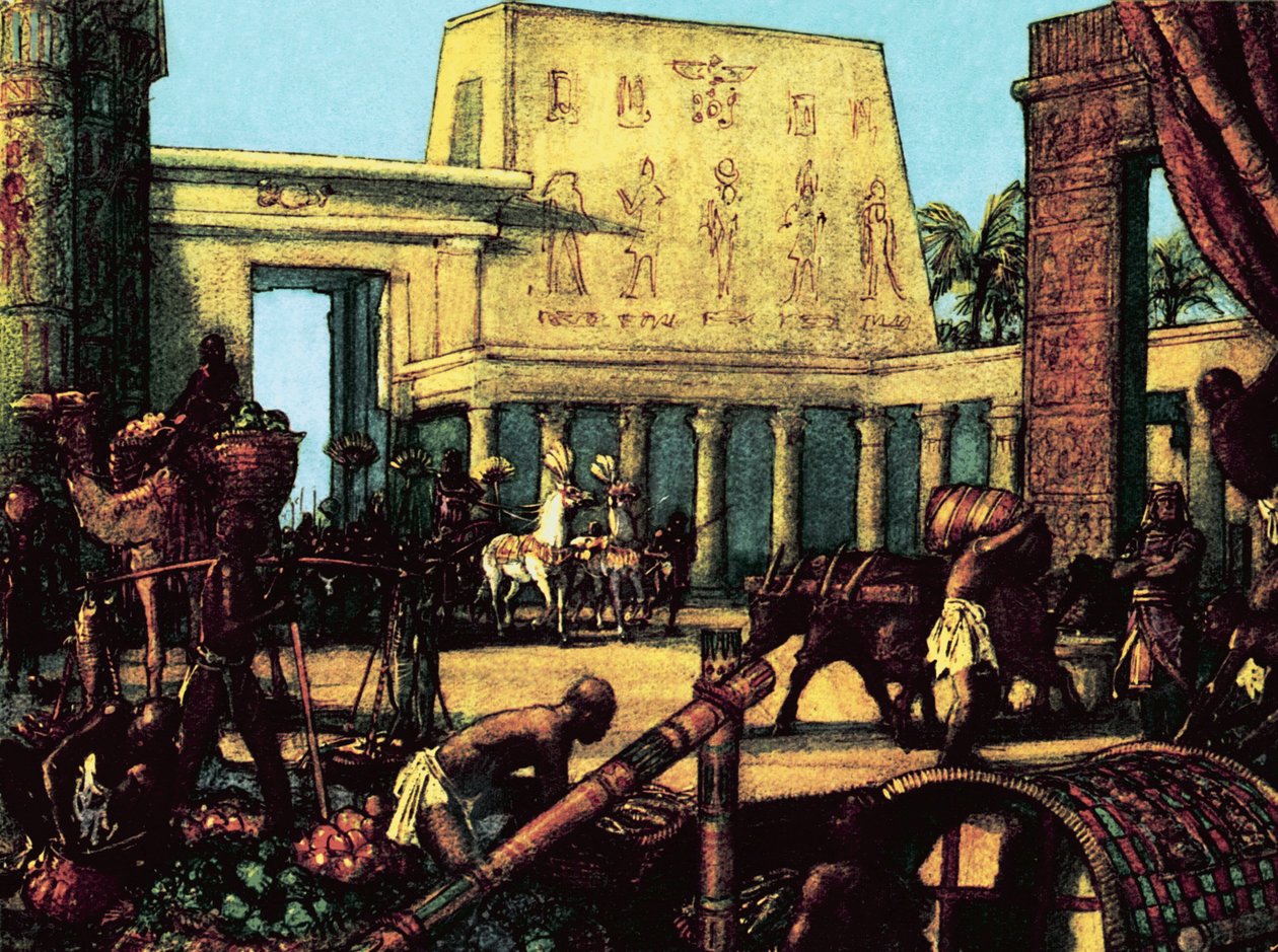 Wie die Ägypter ein Imperium gründeten von John Millar Watt