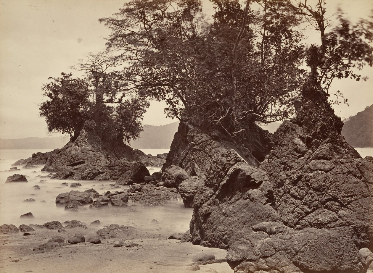 Tropische Landschaft, Limon Bay - Ebbe, 1871 von John Moran