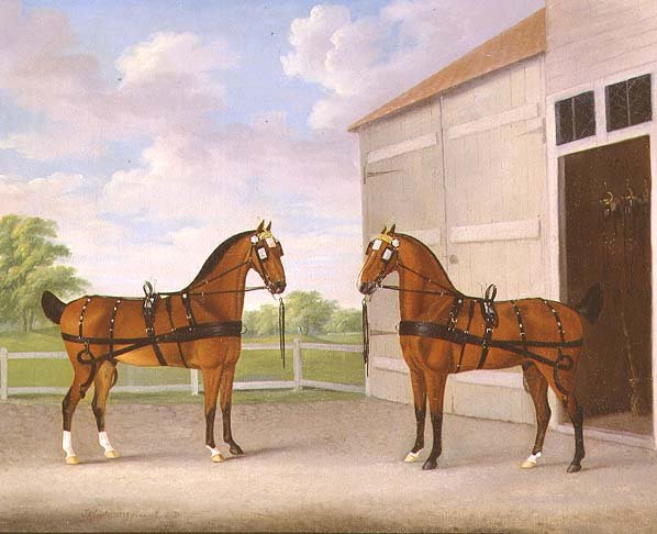 Ein Paar braune Kutschpferde in einem Stallhof von John Nott Sartorius
