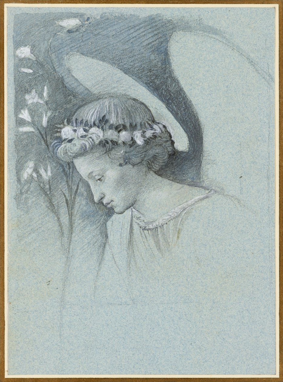 Studie des Kopfes des Erzengels Gabriel in Filippo Lippis 