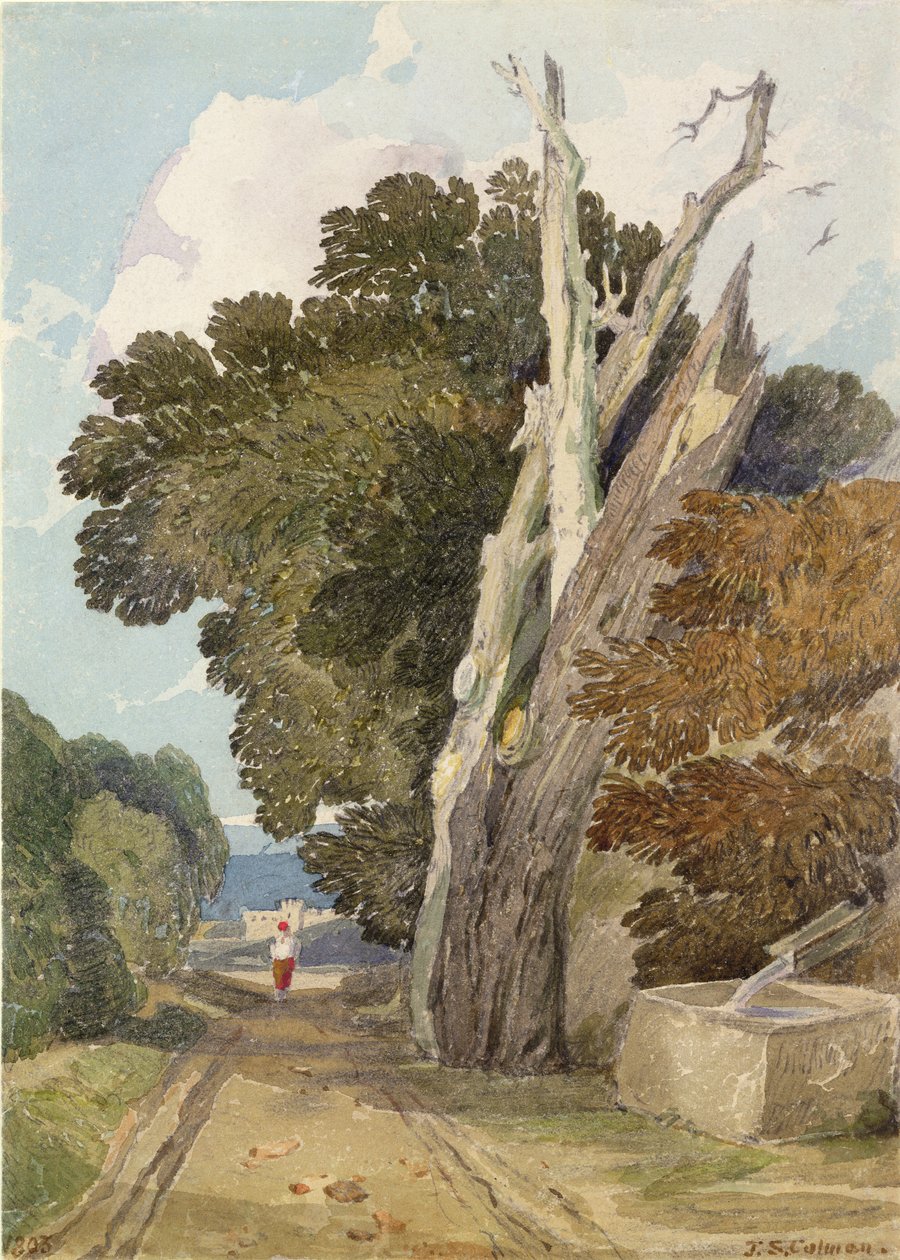 Eine spanische Kastanie vom Blitz getroffen von John Sell Cotman
