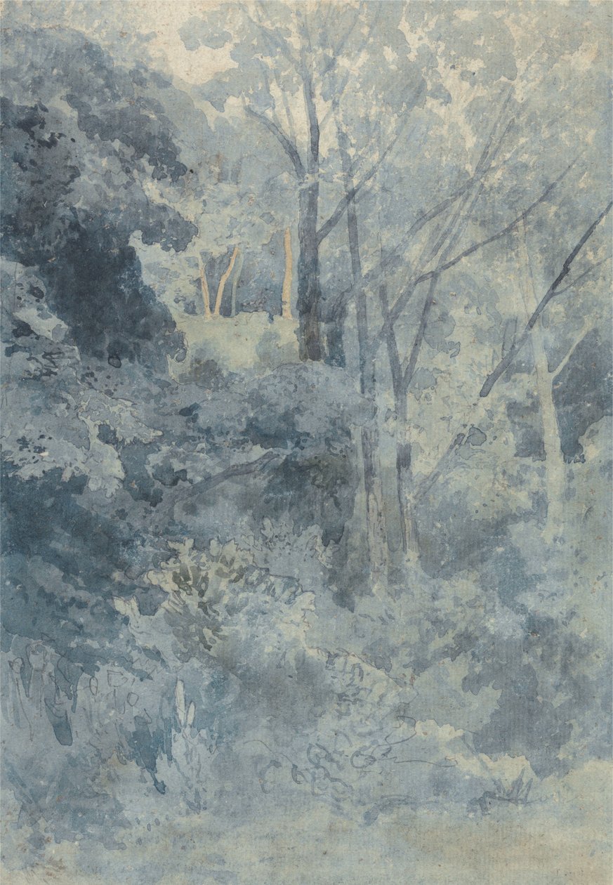 Im Rokeby Park von John Sell Cotman