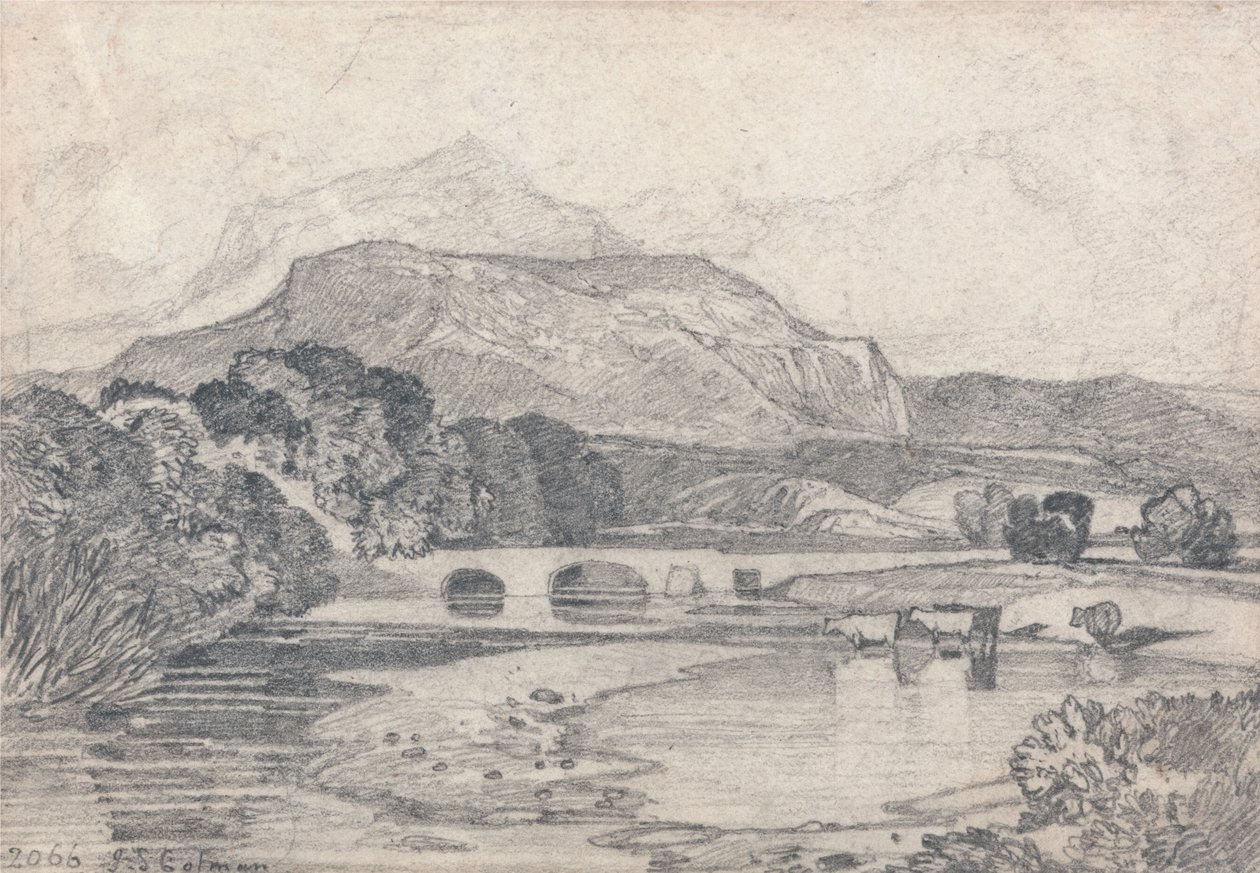 Tan-y-Bwlch, Nordwales von John Sell Cotman