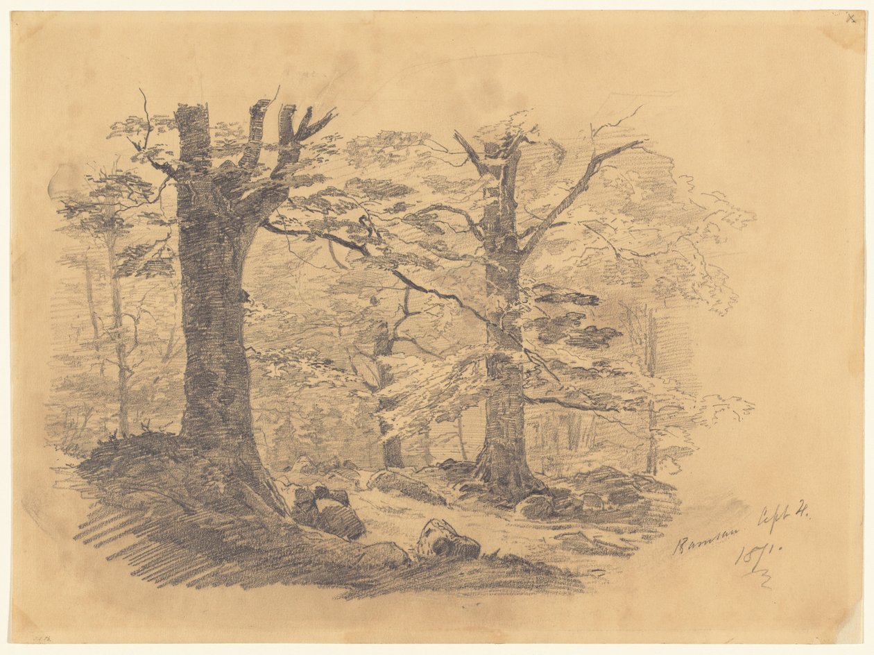 Wald, Ramsau, Deutschland von John Singer Sargent