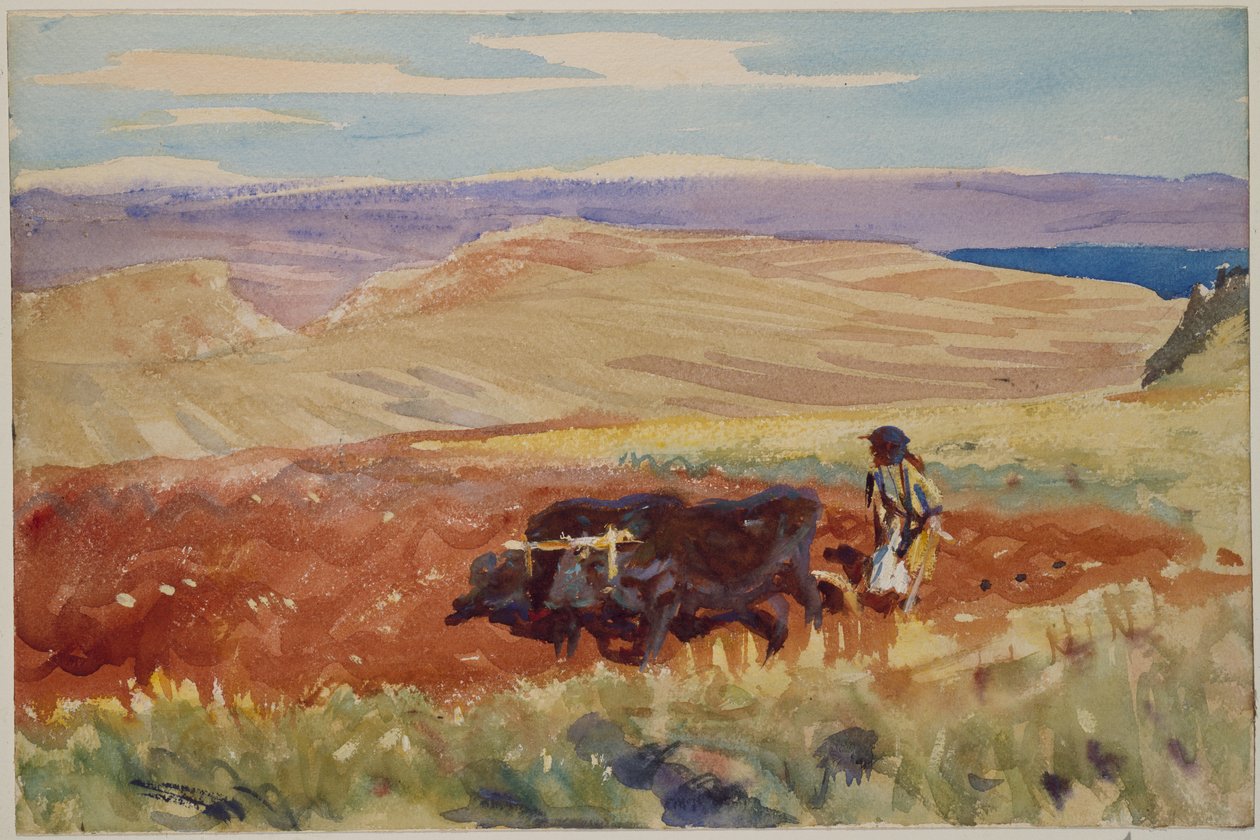 Hügel von Galiläa, ca. 1905-06 von John Singer Sargent