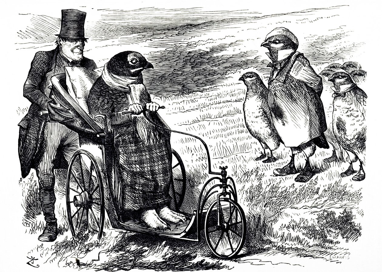 Eine Karikatur, die die Aussetzung der Moorhuhnjagd kommentiert, um den Bestand wieder aufzubauen. Illustriert von John Tenniel (1820-1914), einem englischen Illustrator, humoristischen Grafiker und politischen Karikaturisten von John Tenniel