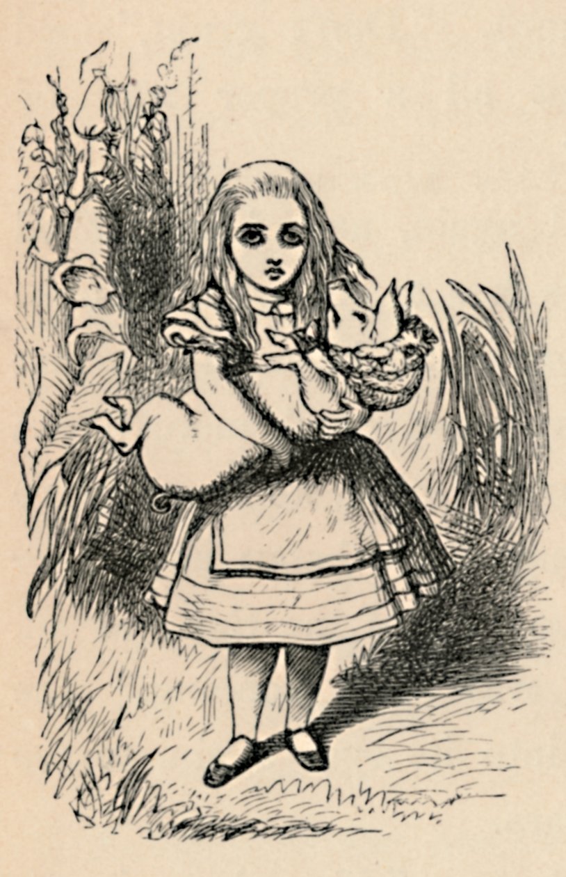 Alice hält ein Schwein in ihren Armen, 1889 von John Tenniel