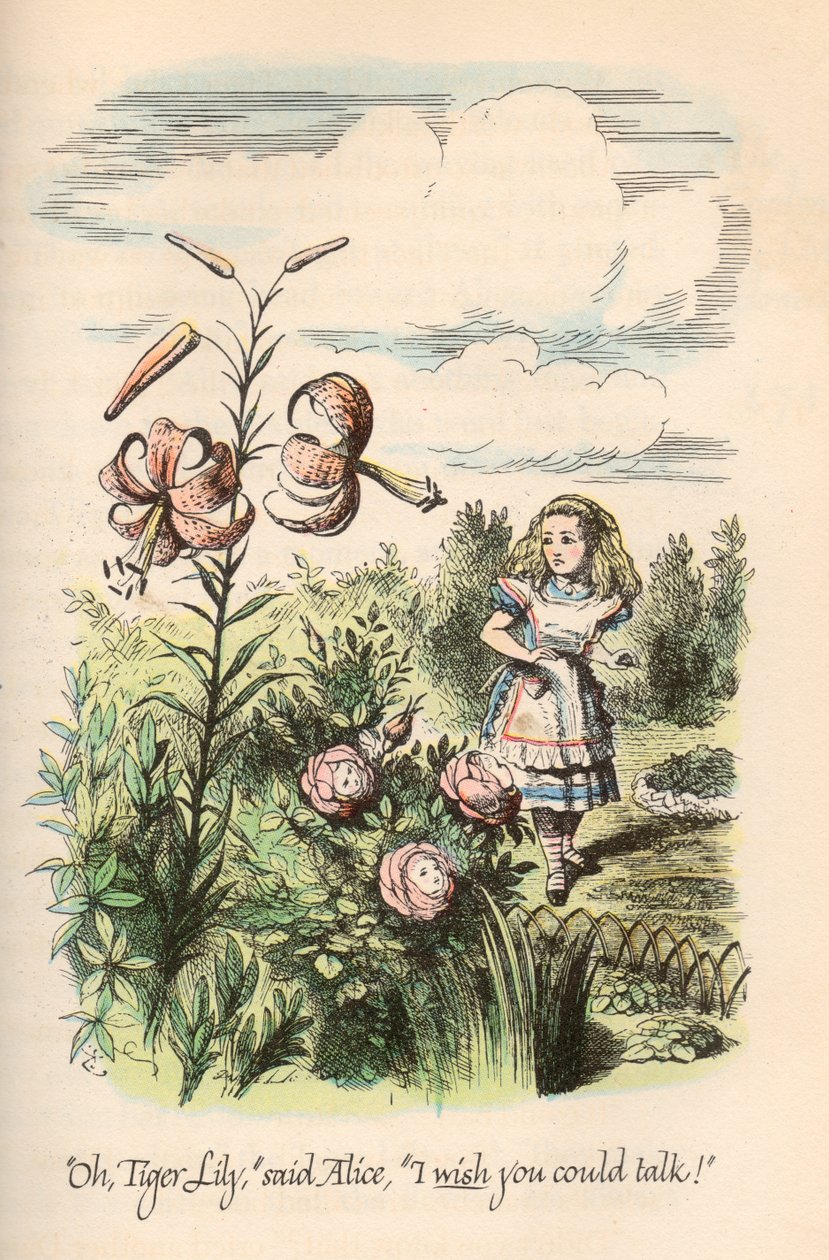Alice im Wunderland & Durch den Spiegel, von Lewis Carroll, illustriert von John Tenniel von John Tenniel