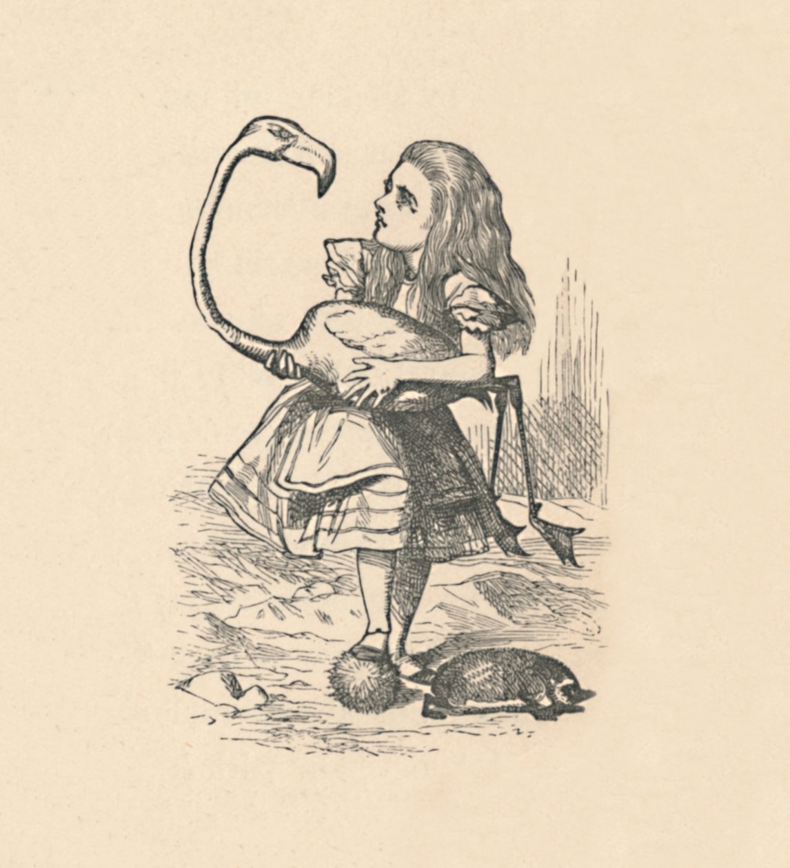 Alice versucht, mit einem Flamingo als Schläger Krocket zu spielen, 1889 von John Tenniel