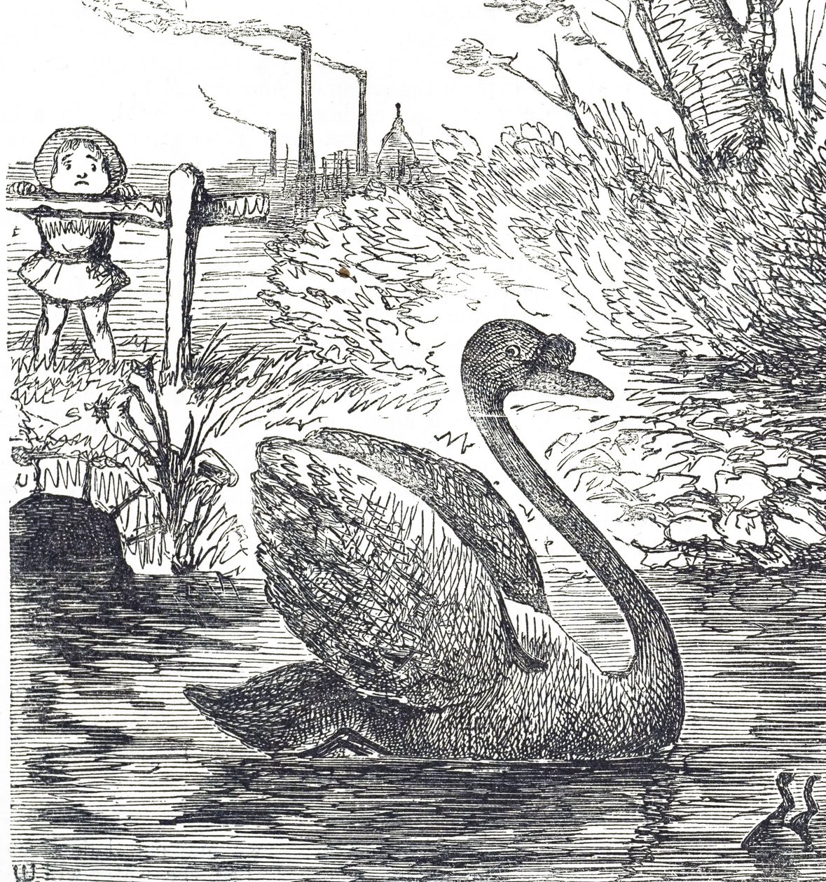 Karikatur über die Verschmutzung der Themse in London von John Tenniel