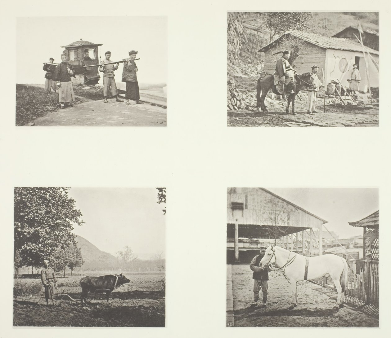Die Sänfte, Ein Militärbeamter, Der Pflug, Ein Nordchinesisches Pony, um 1868 von John Thomson