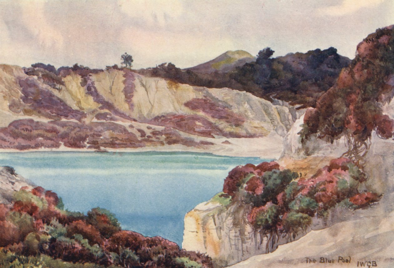 Der blaue Pool von John W.G. Bond