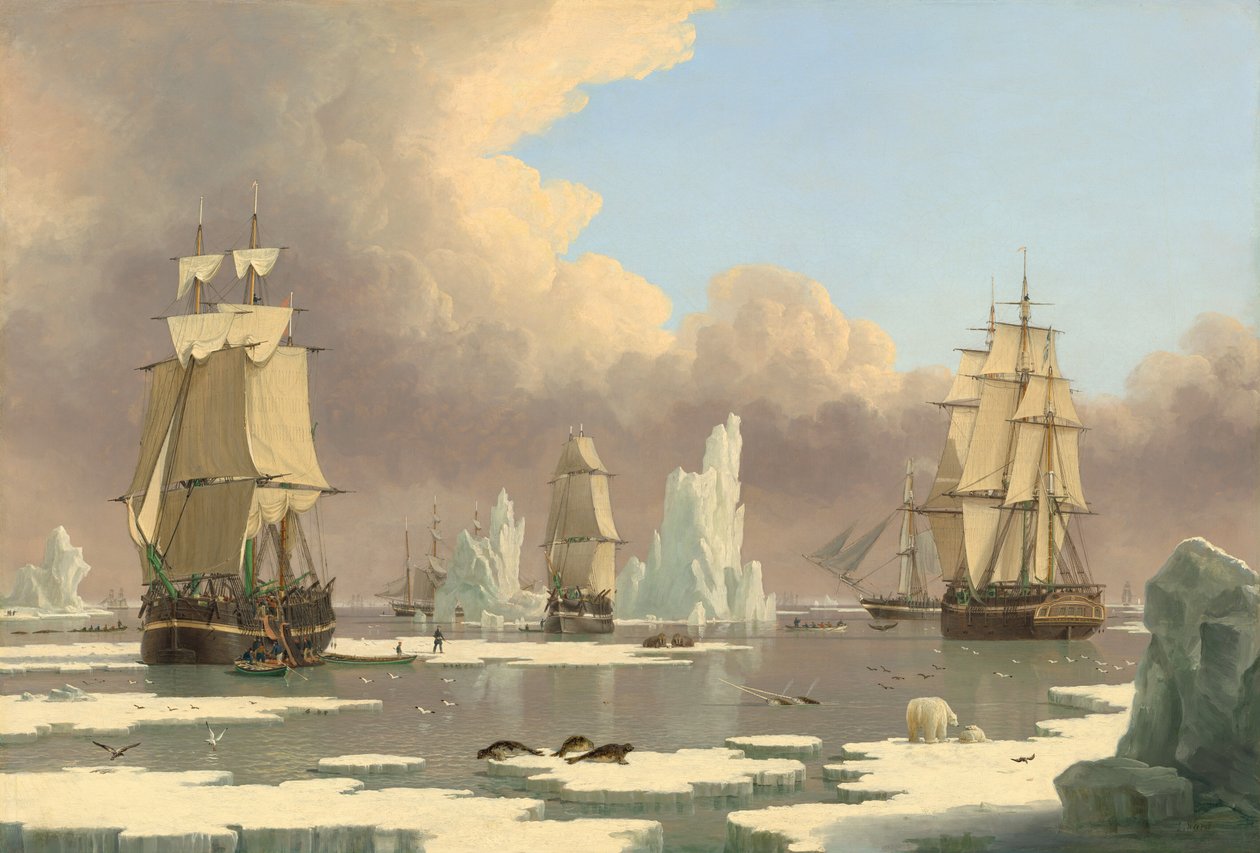 Die Nordwalfischerei: Der Schwan und Isabella, ca. 1840 von John Ward I