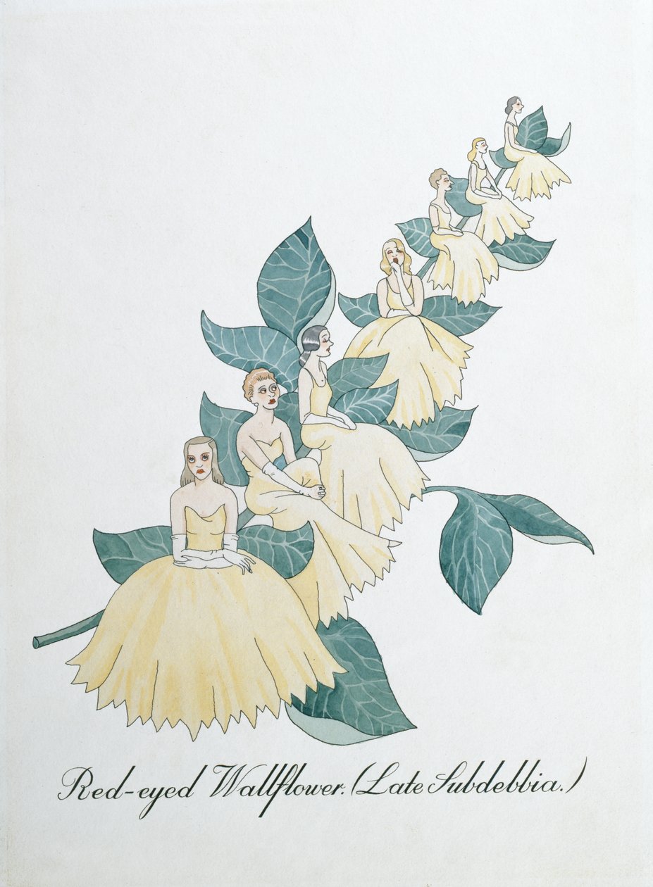Rotäugige Nachtkerze (Späte Subdebbia), Illustration aus 