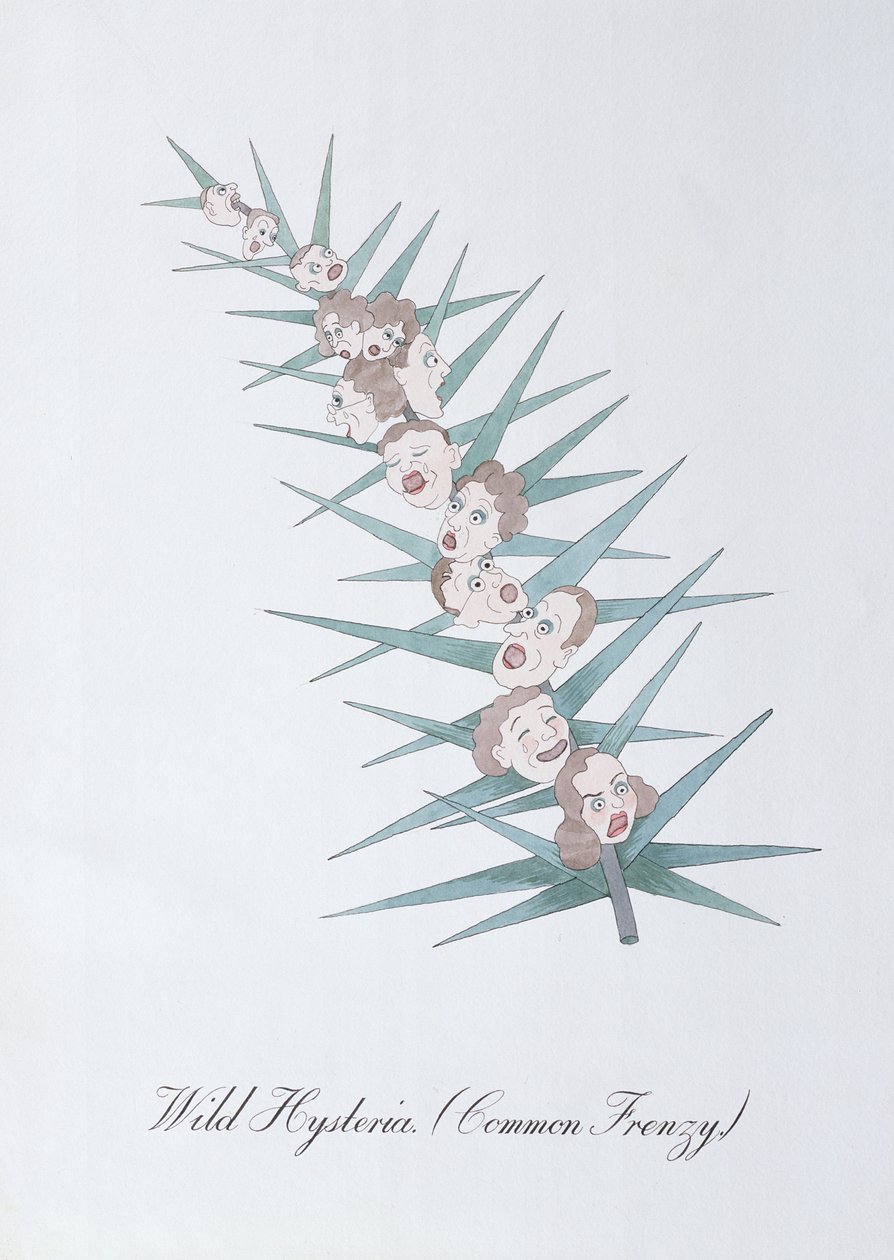 Wilde Hysterie, Illustration aus 