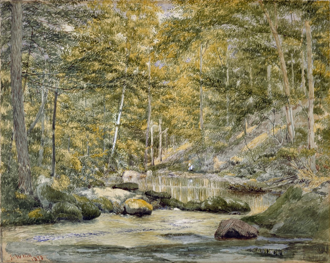 Waldteich mit Männern beim Angeln, 1870 von John William Hill