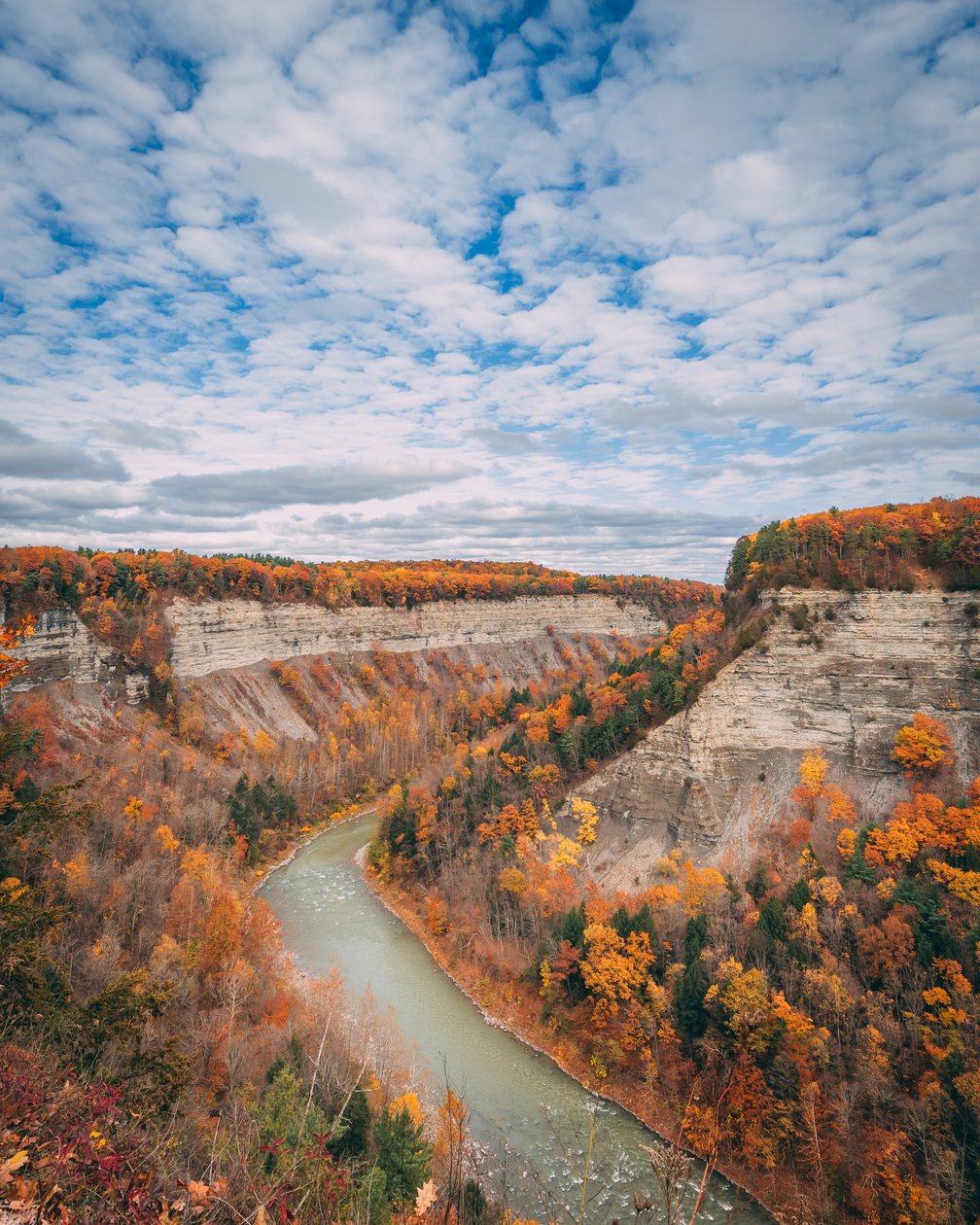 Herbstfarben in der Schlucht im Letchworth State Park, New York, USA von Jon Bilous
