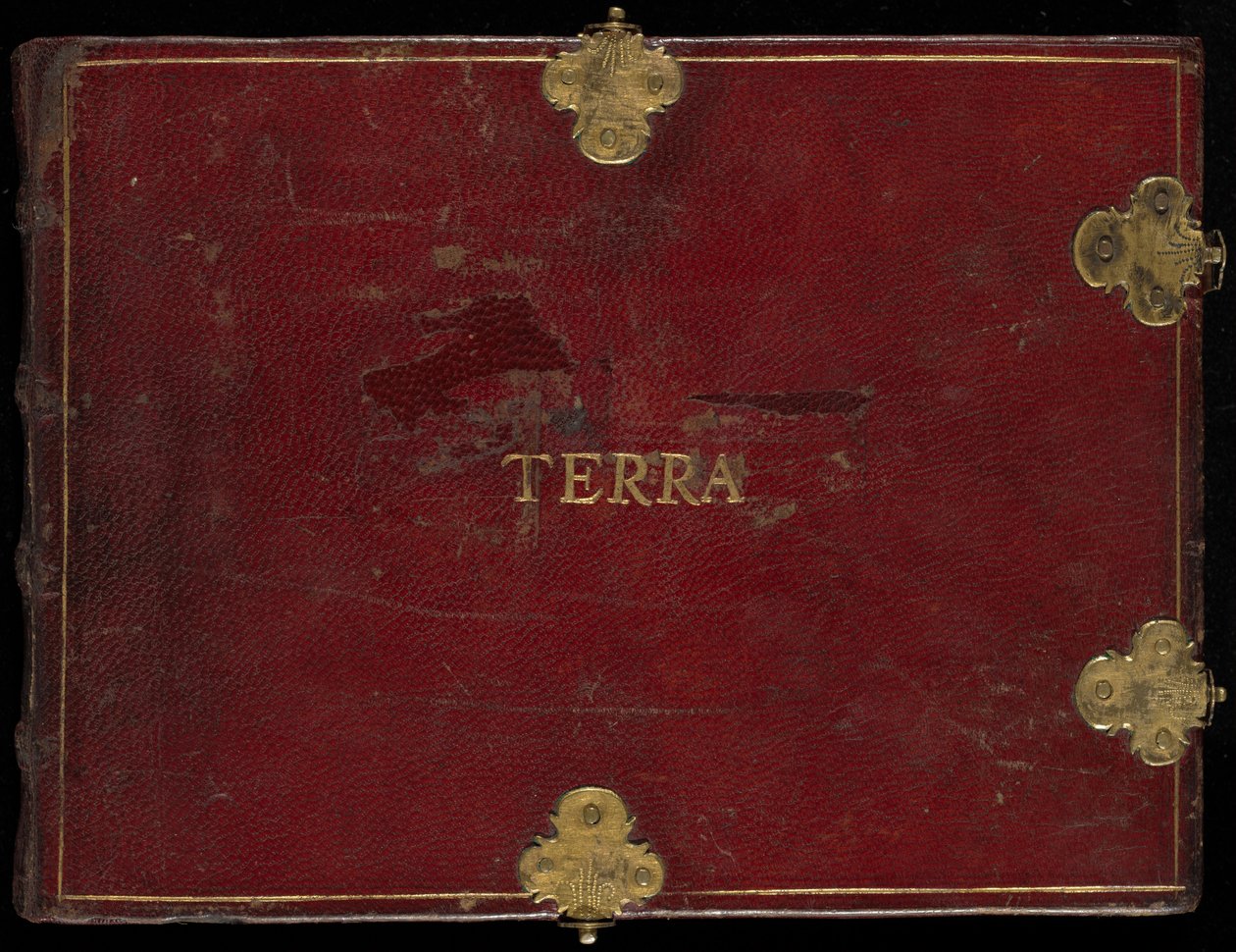 Animalia Quadrupedia et Reptilia (Terra), Band II von Joris Hoefnagel