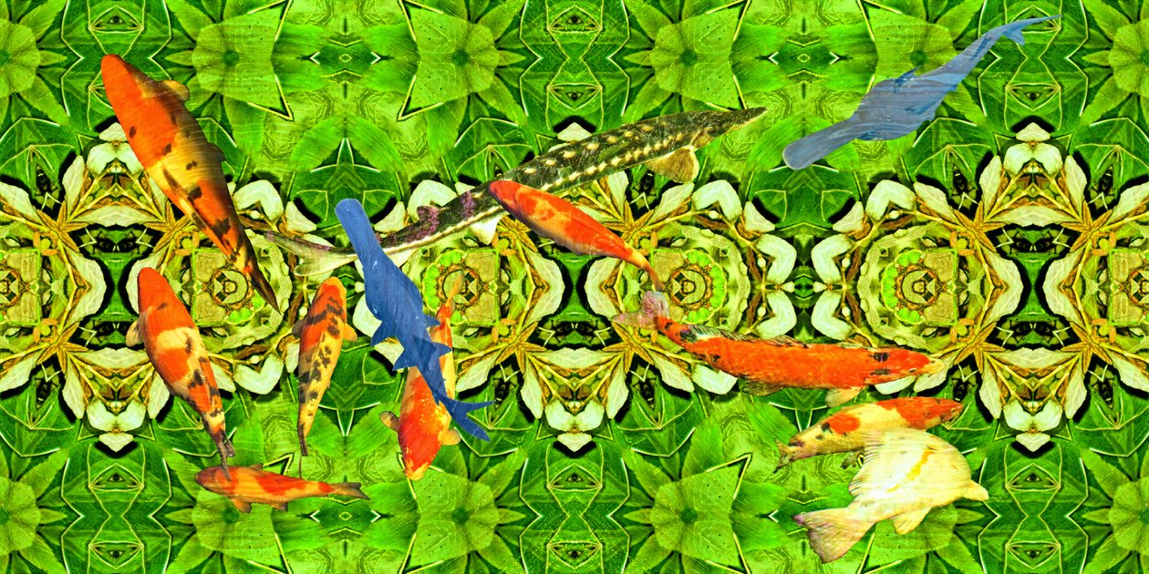 Koi-Karpfen im Unterwassergarten 3 von Josef Johann Michel