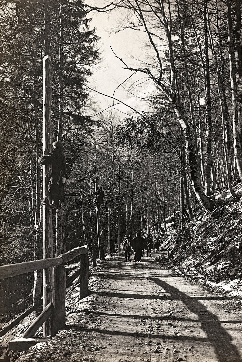 Album "Meine Weltkriegs-Erinnerungen Südwestfront (Kärnten, Italien, Südtirol) 31/03/1915-12/11/1918 - Josef Zohles Wien": Soldaten bei der Arbeit (s/w Foto) von Josef Zohles