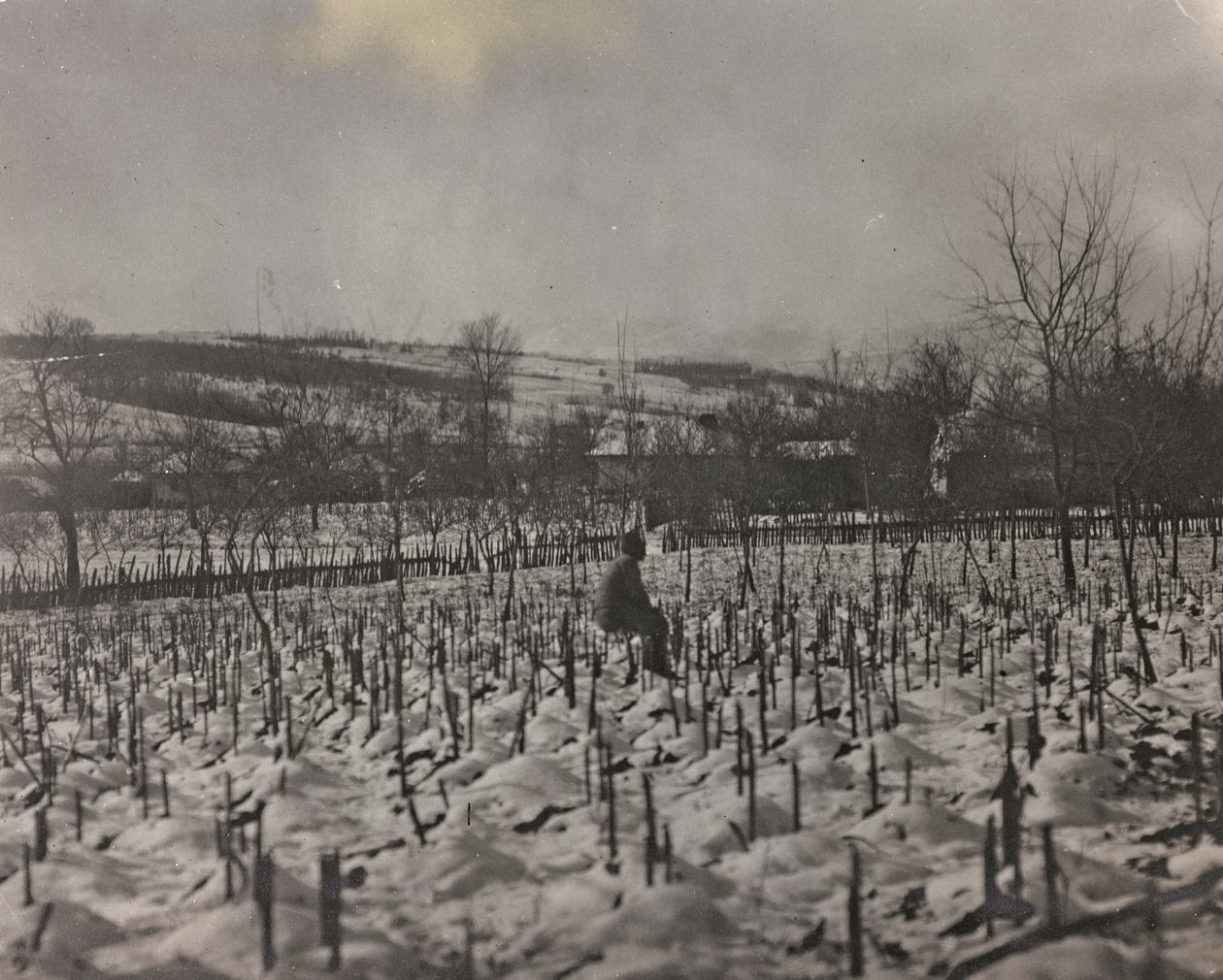 Album "Meine weltkriegs - Erinnerungen Südwestfront (Kärnten, Italien, Südtirol) 31/03/1915-12/11/1918 - Josef Zohles Wien": Militärfriedhof von Josef Zohles