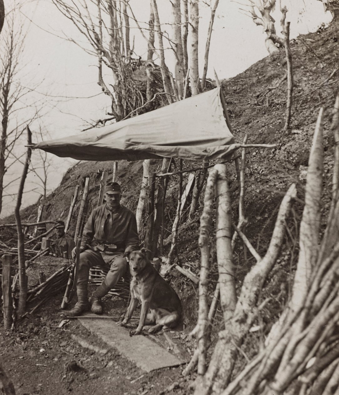 Album "Meine weltkriegs - Erinnerungen Südwestfront (Kärnten, Italien, Südtirol) 31/03/1915-12/11/1918 - Josef Zohles Wien": Militärhund unter einem Zelt von Josef Zohles