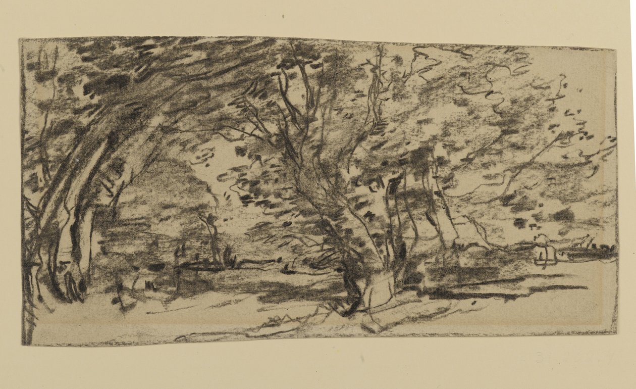 Studie von Bäumen, 1870 von Joseph Frank Currier