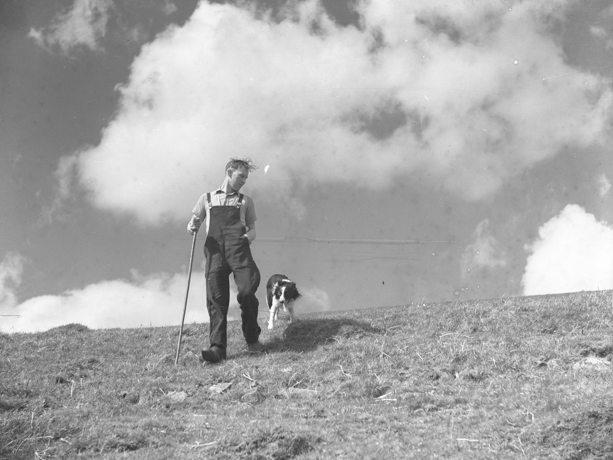 Ein Schäfer und sein Schäferhund spazieren in Martindale von Joseph Hardman