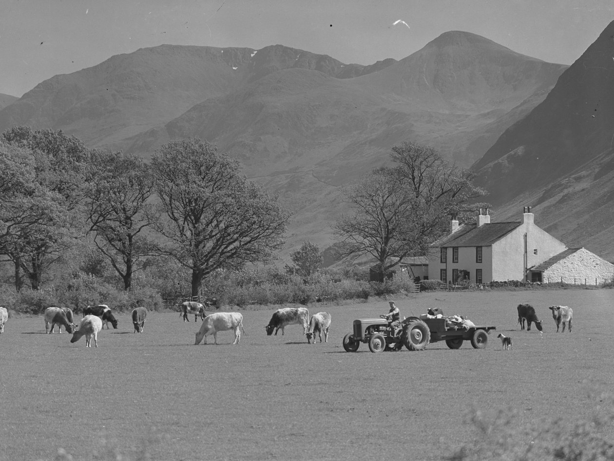 Ein Bauer fährt seinen Traktor über ein Feld mit Kühen, Bauernhofgebäude und Hügel im Hintergrund von Joseph Hardman