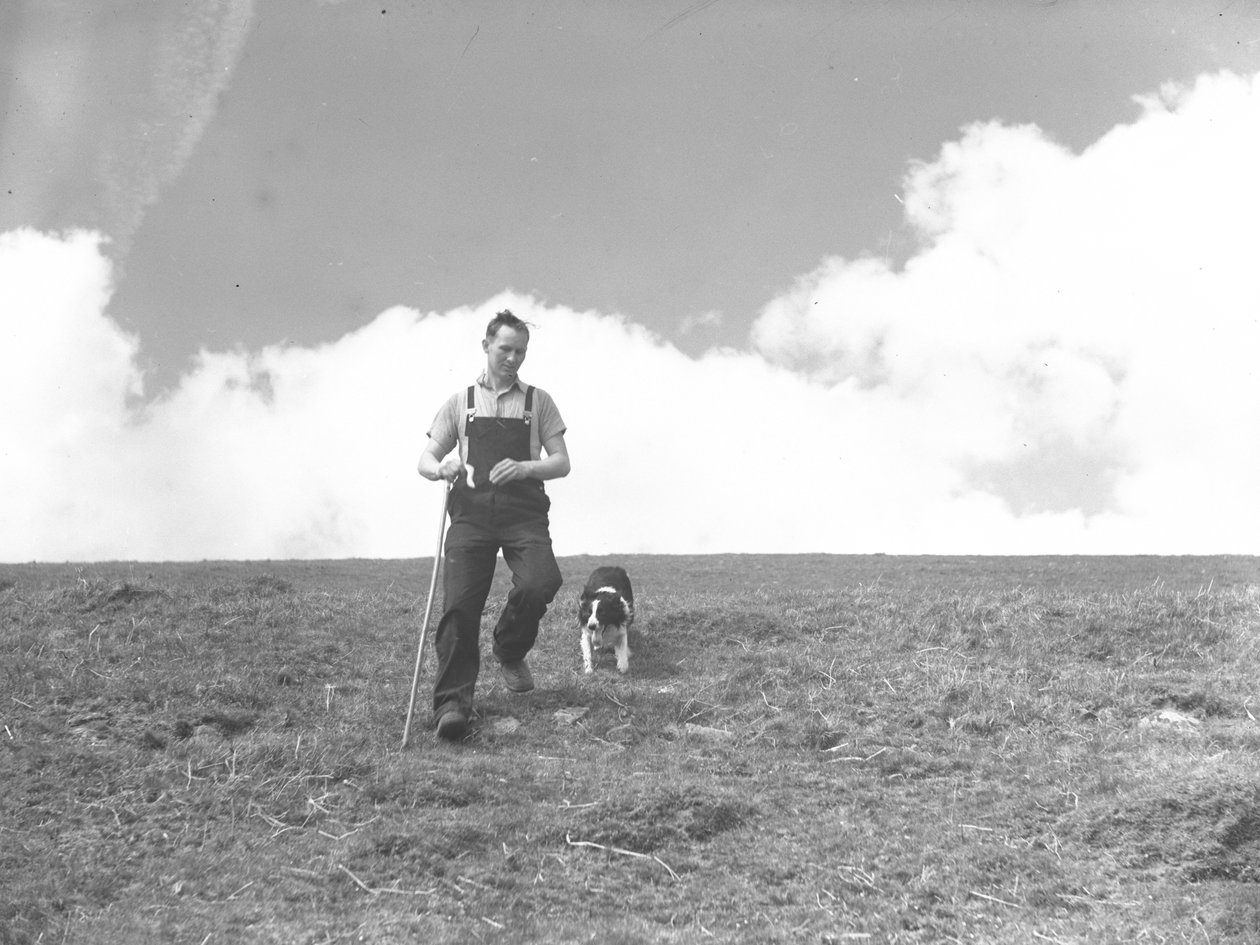 Ein Mann und sein Schäferhund spazieren in Martindale von Joseph Hardman