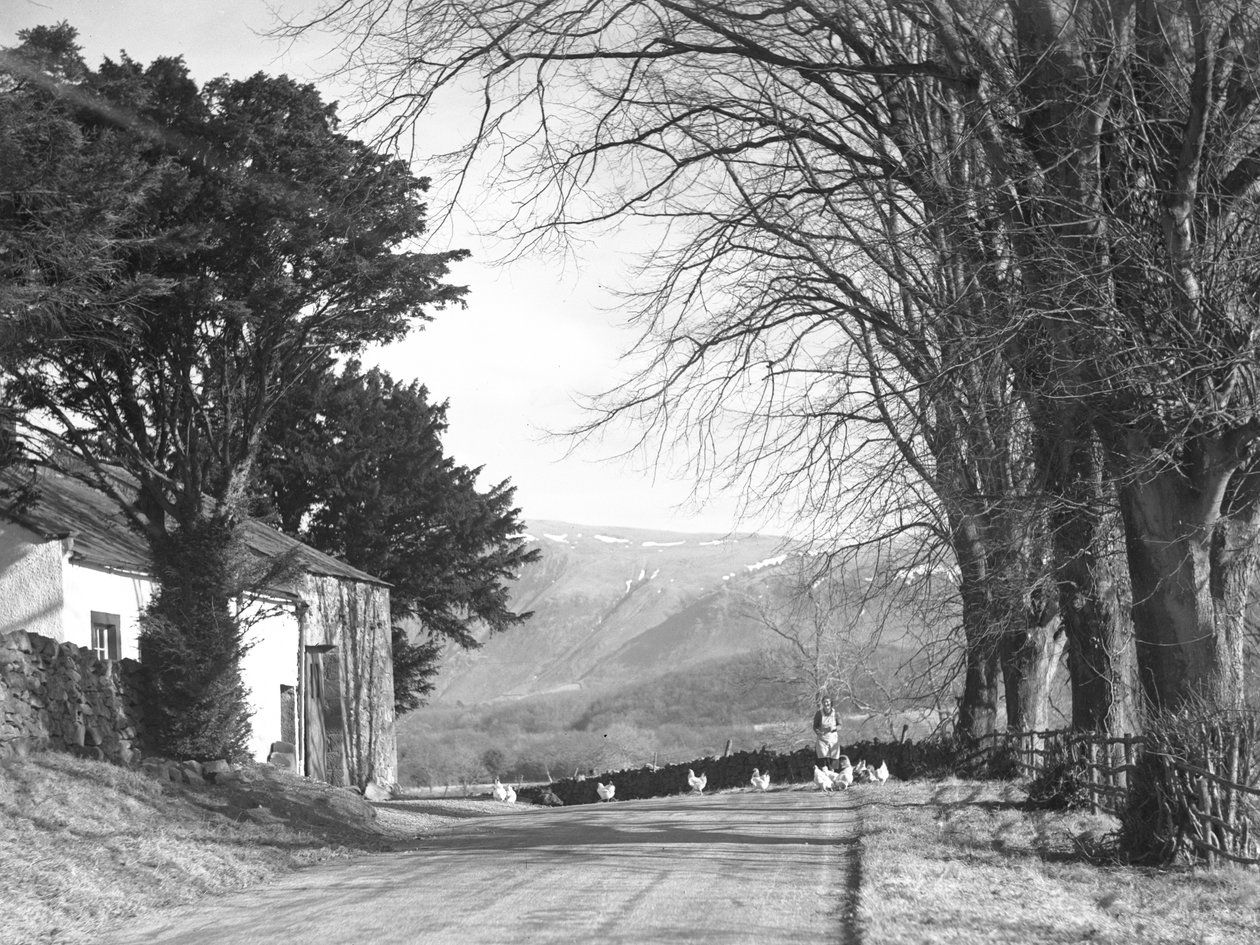 Eine Frau auf einem Weg mit Hühnern, Gebäude links und Hügel im Hintergrund von Joseph Hardman