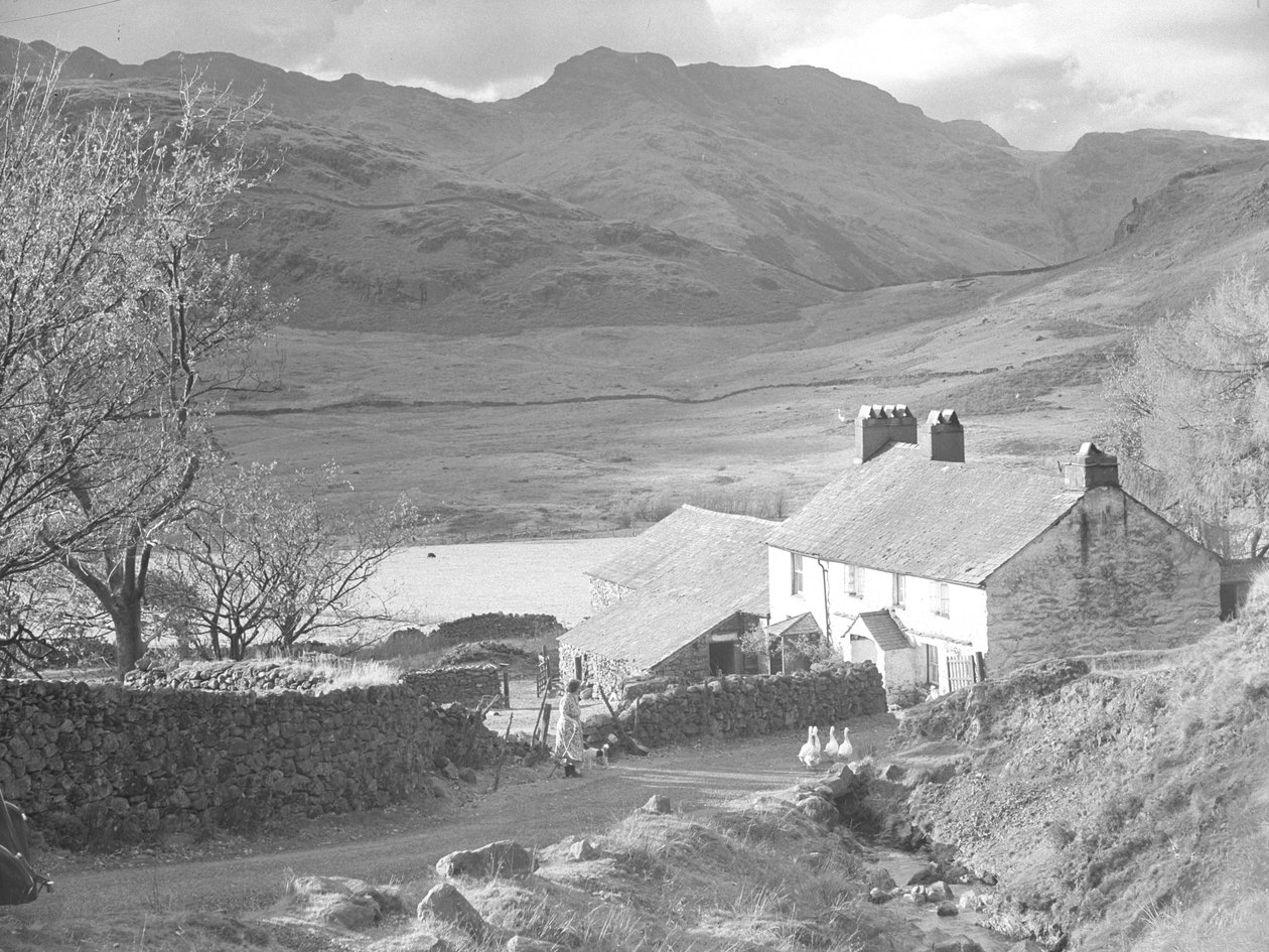 Bauernhof (in den Langdales?) mit Frau und Hunden, die Enten beobachten und Bauerngebäude dahinter von Joseph Hardman