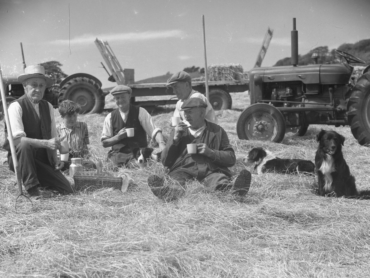 Landarbeiter entspannen sich im Heufeld mit Hunden und Traktoren im Hintergrund von Joseph Hardman