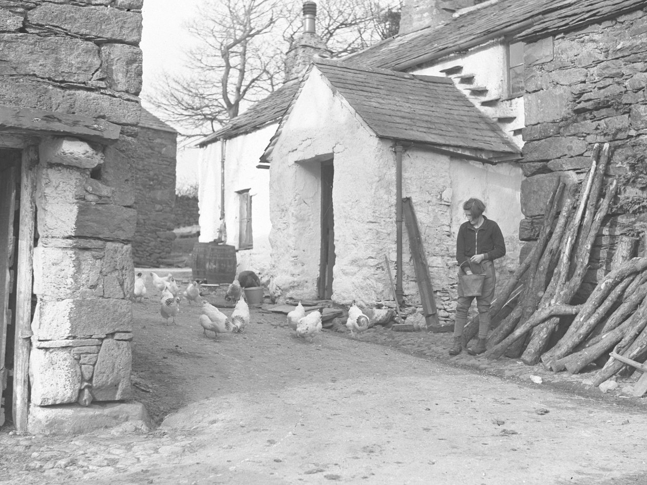 Landmädchen füttert Geflügel auf einem Bauernhof in Ulpha in den Duddon Fells von Joseph Hardman