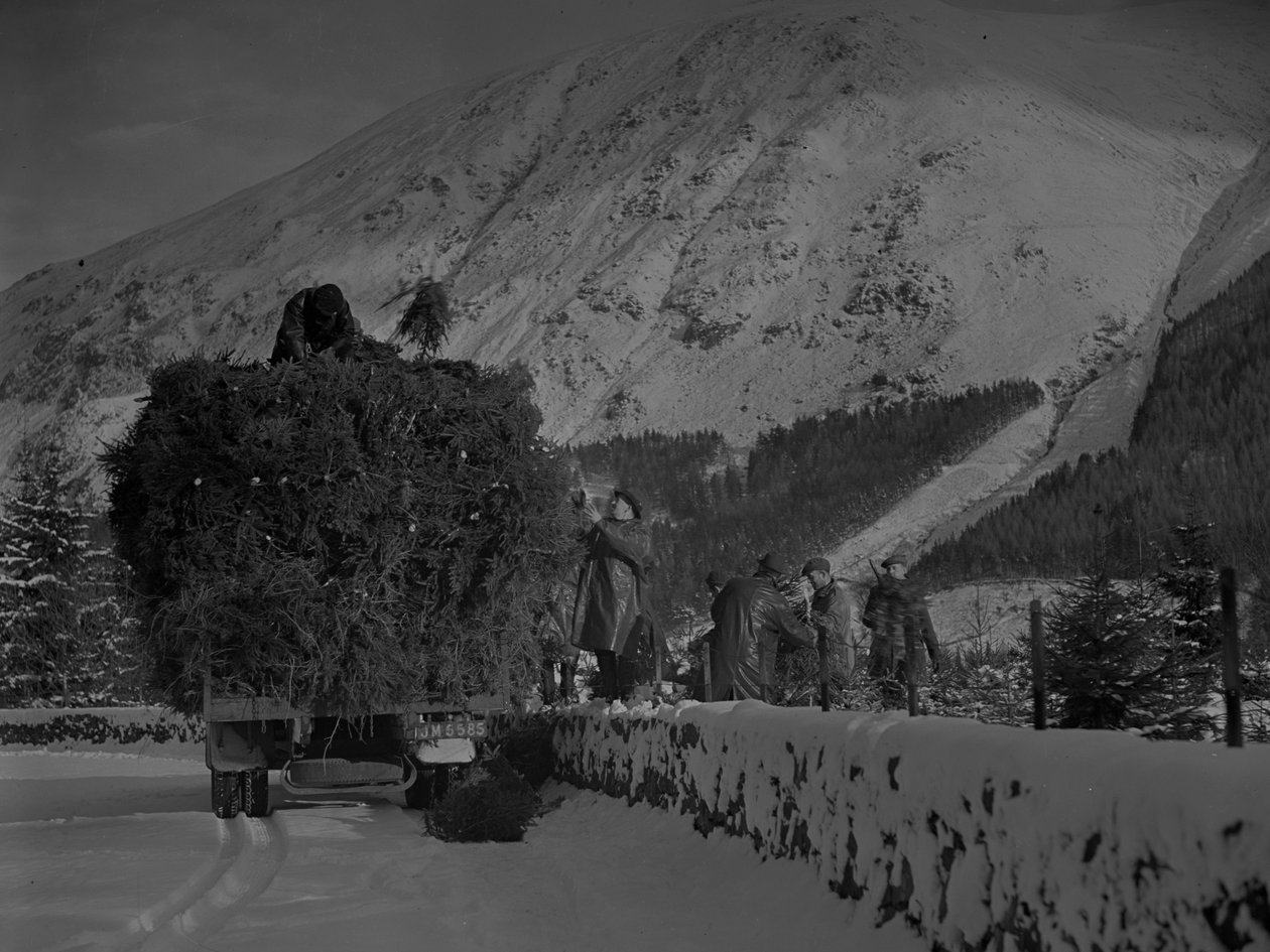 Lkw voller Weihnachtsbäume fährt eine verschneite Straße hinunter von Joseph Hardman