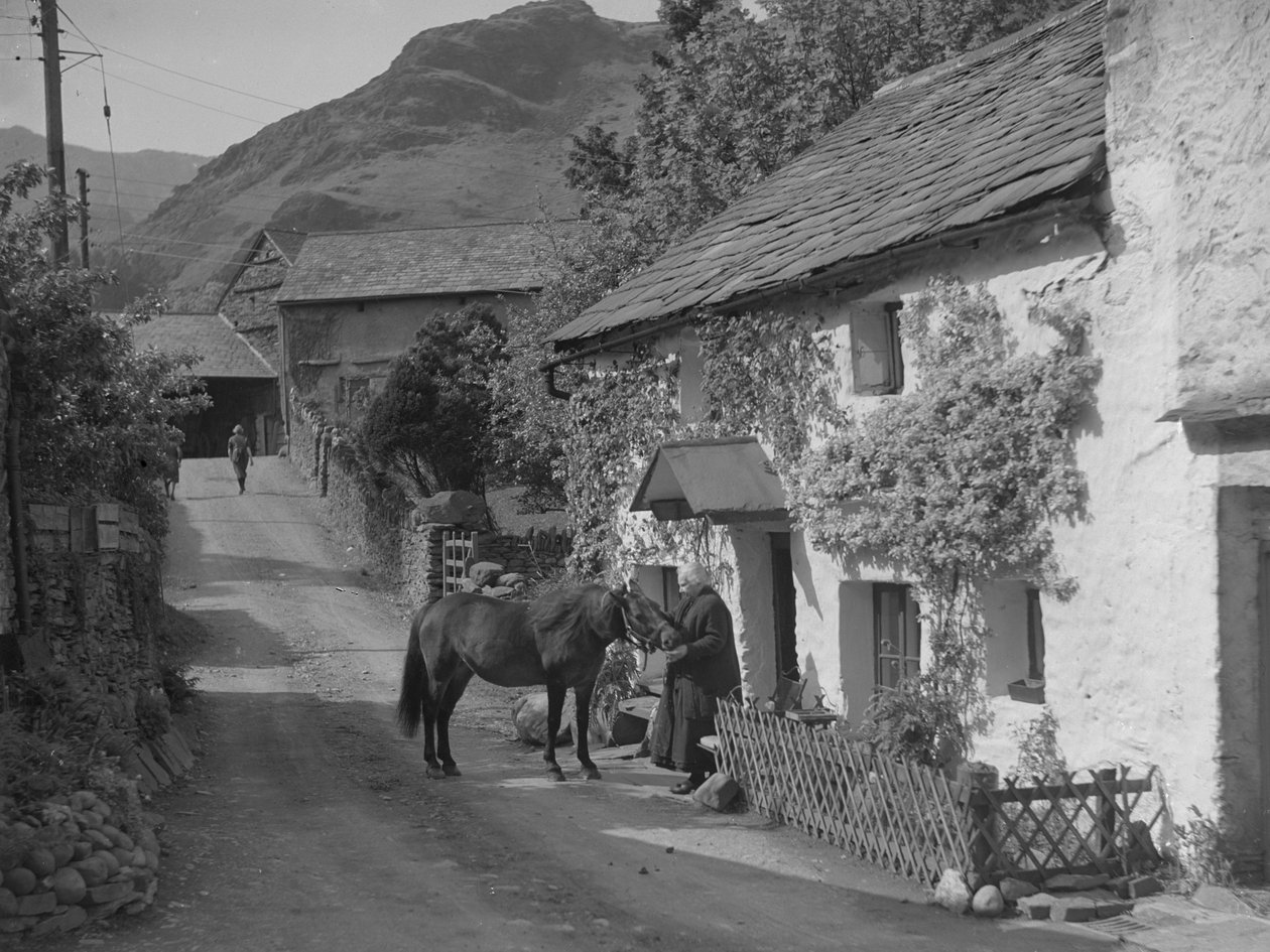 Alte Dame streichelt Pferd, das auf der Straße vor Cottage steht von Joseph Hardman