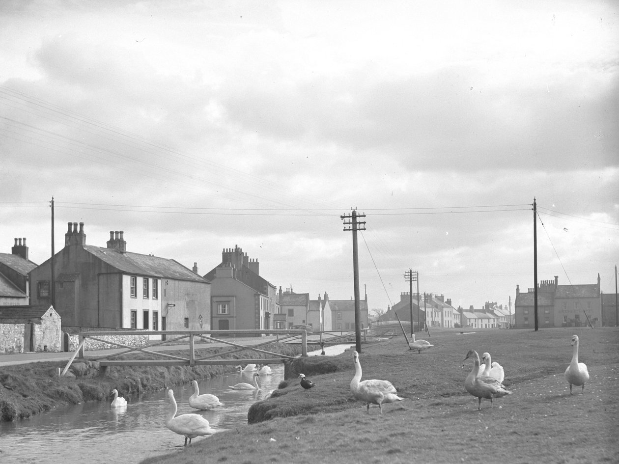 Straße in Allonby mit Schwänen und Bach von Joseph Hardman