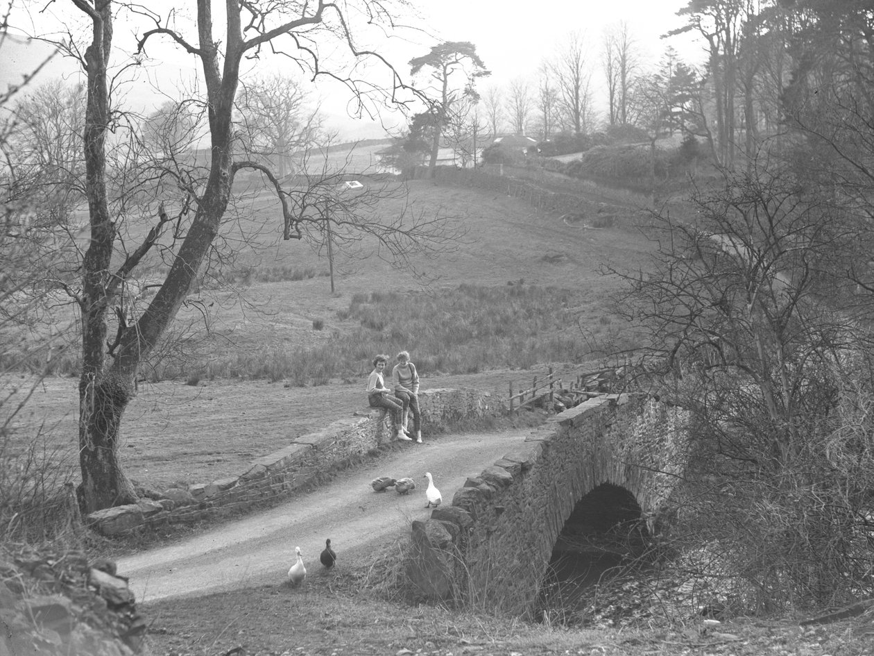 Zwei Mädchen sitzen auf einer Steinbrücke über den Fluss Cocker am Fuße des Scale Hill und beobachten Gänse in der Gasse bei Loweswater von Joseph Hardman