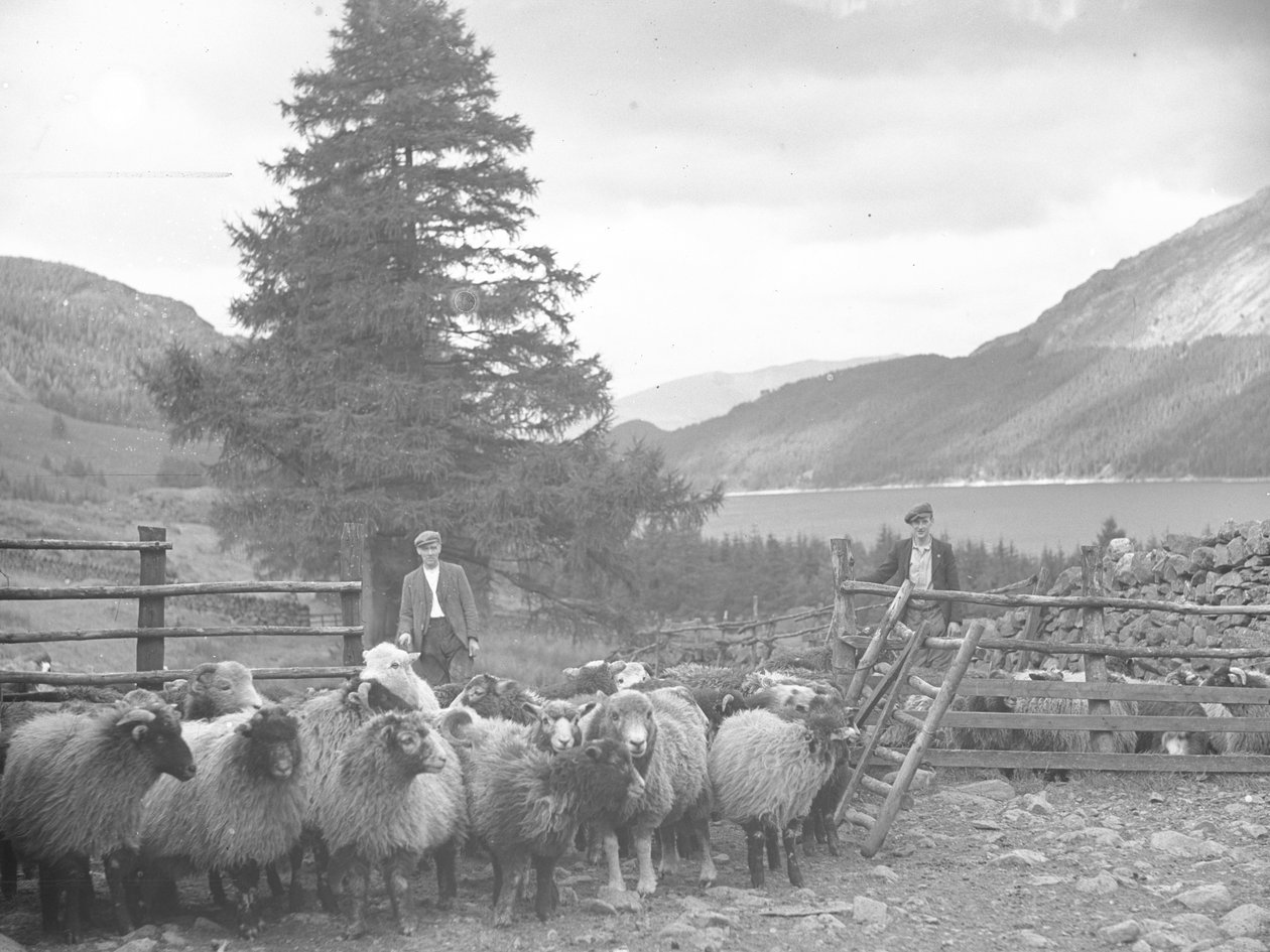 Zwei Schäfer mit einer Schafherde und Thirlmere dahinter von Joseph Hardman