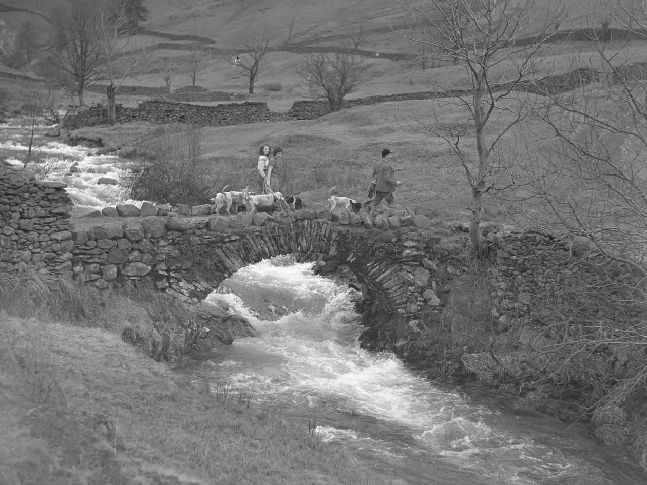 Zwei Frauen und ein Mann gehen über eine Brücke mit Hunden zu ihren Füßen von Joseph Hardman