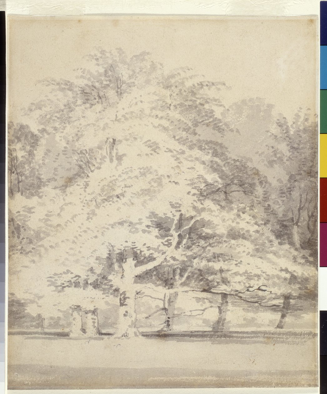 Buchenbäume von Joseph Mallord William Turner