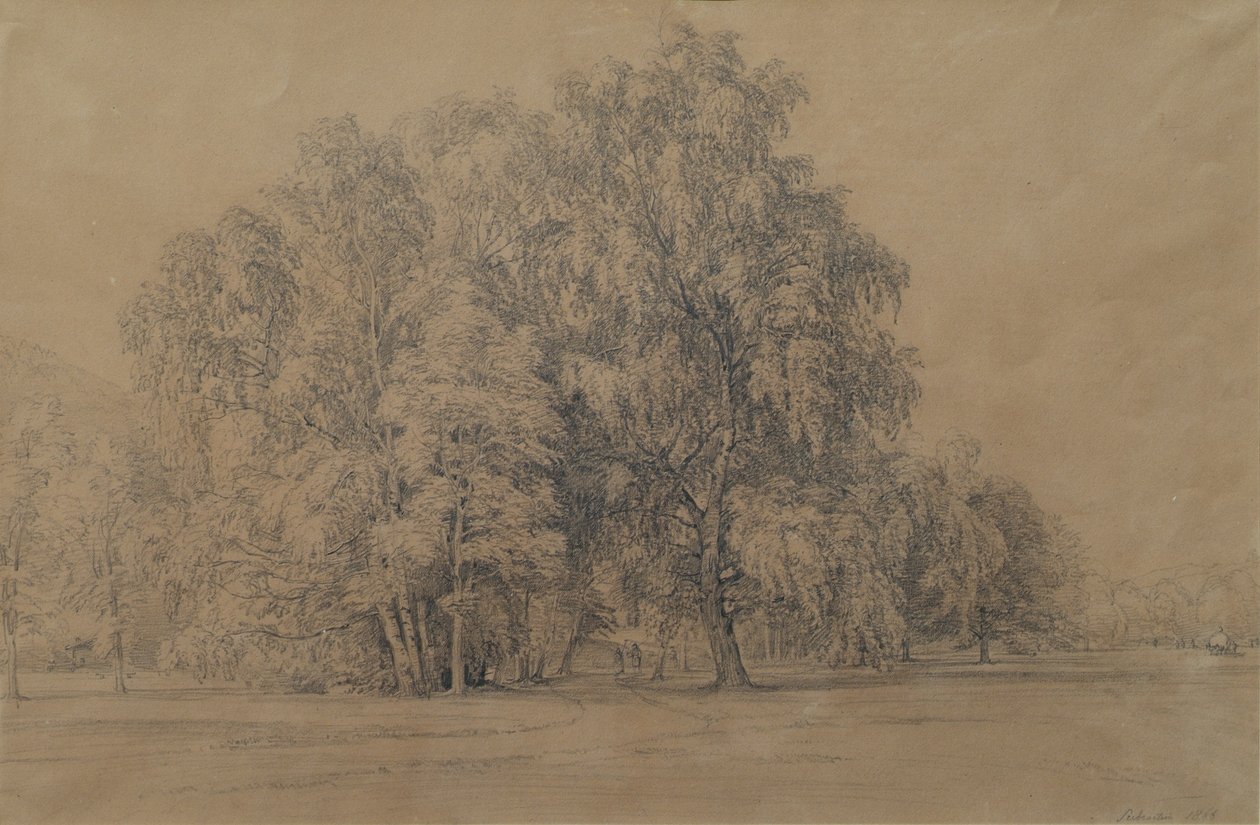 Birkengruppe im Park von Schloss Seebenstein in Niederösterreich von Joseph Martin Höger