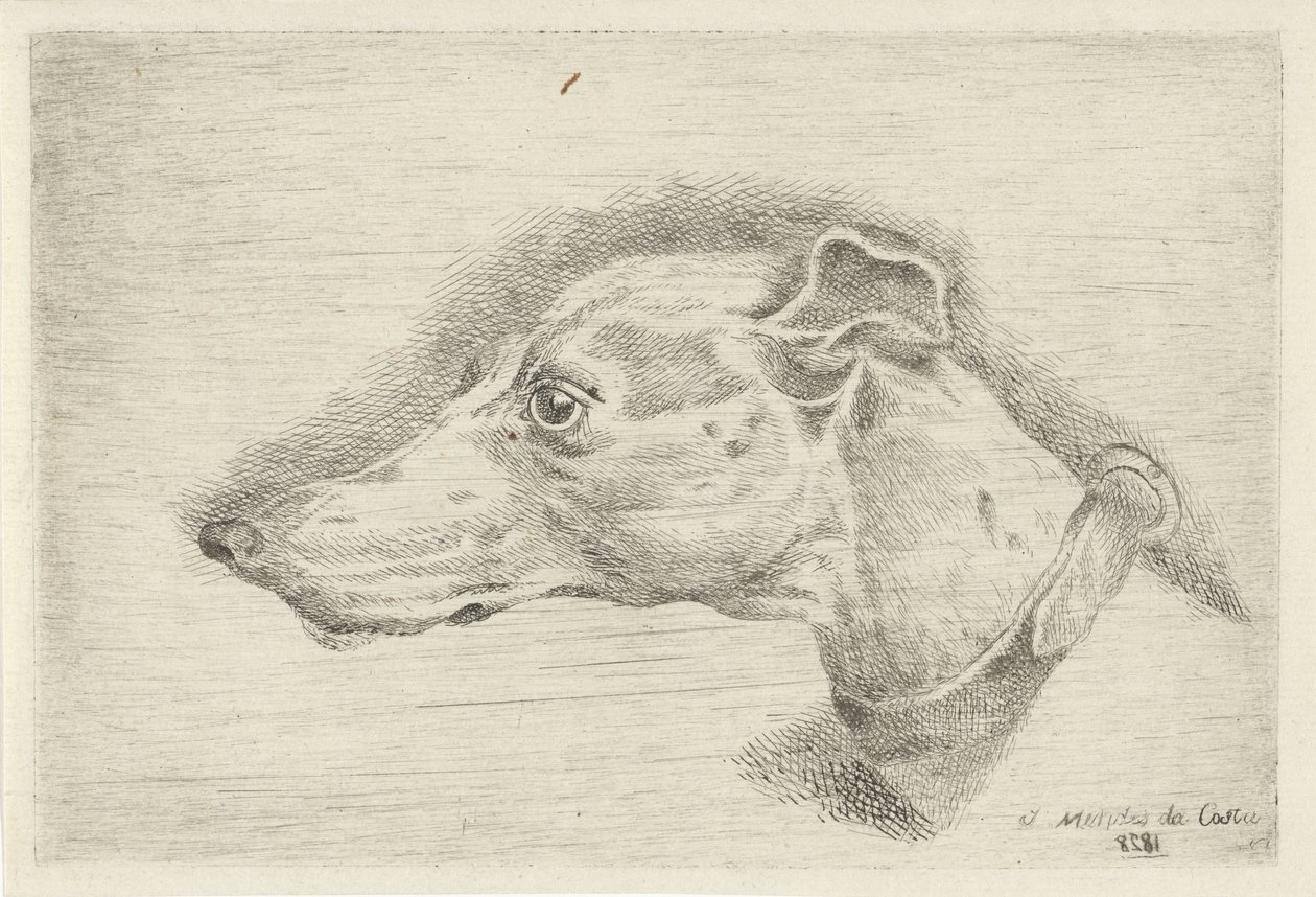 Kopf eines Windhundes von Joseph Mendes da Costa