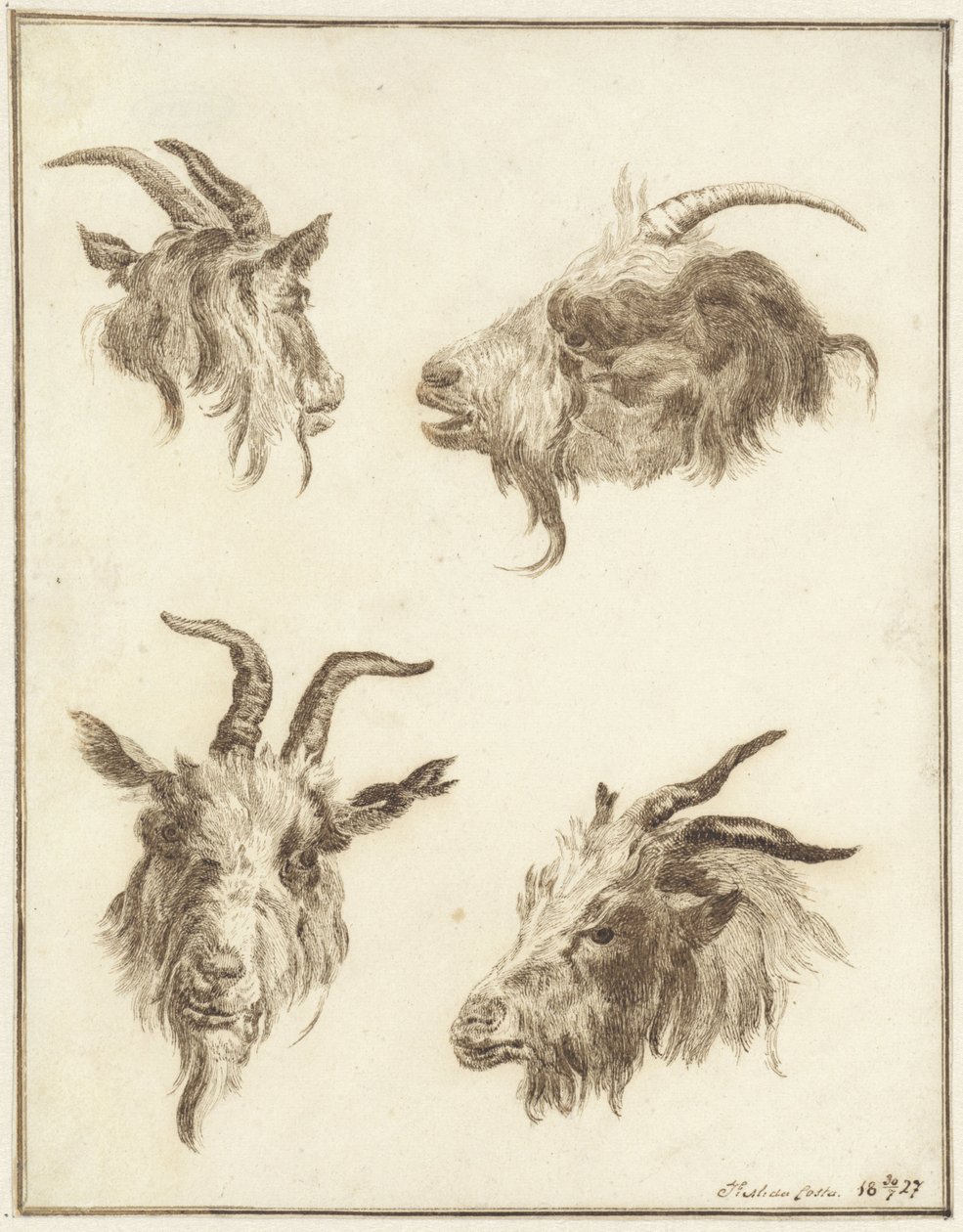 Vier Studien von Ziegenköpfen von Joseph Mendes da Costa