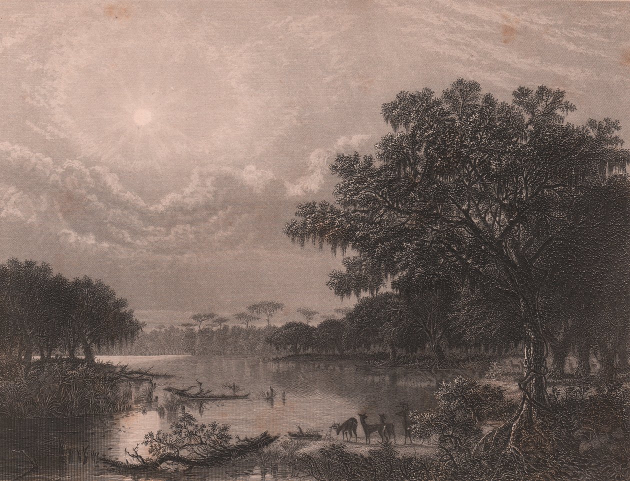 Louisiana Bayou, Vereinigte Staaten, Stahlstich von Robert Hinshelwood nach einem Gemälde von Joseph Rusling Meeker, ca. 16x18 cm von Joseph Rusling Meeker